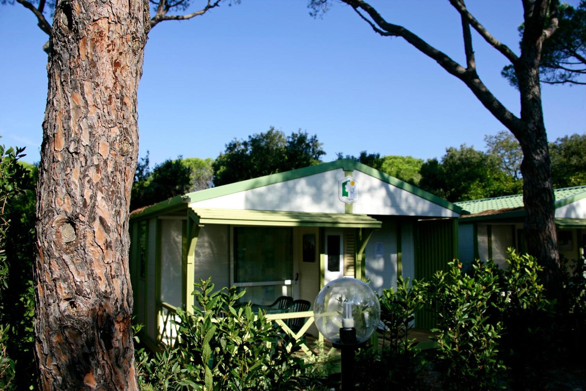 מלון קסטליונה דלה פסקאיה Camping Maremma Sans Souci מראה חיצוני תמונה