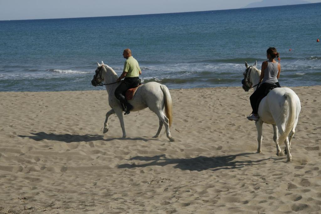 מלון קסטליונה דלה פסקאיה Camping Maremma Sans Souci מראה חיצוני תמונה